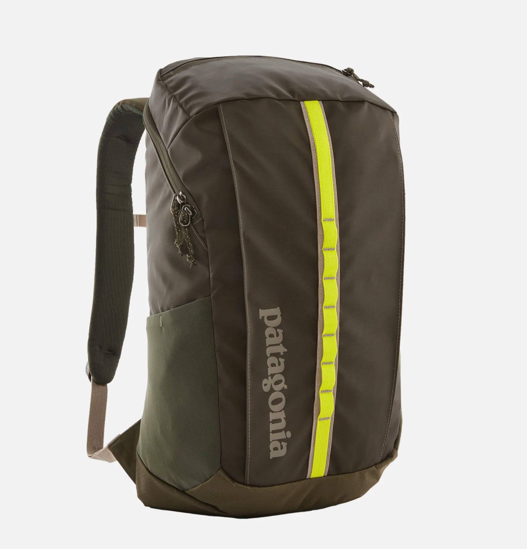 PATAGONIA ACCESSORIES Black Hole 25l Pineneedlegreen