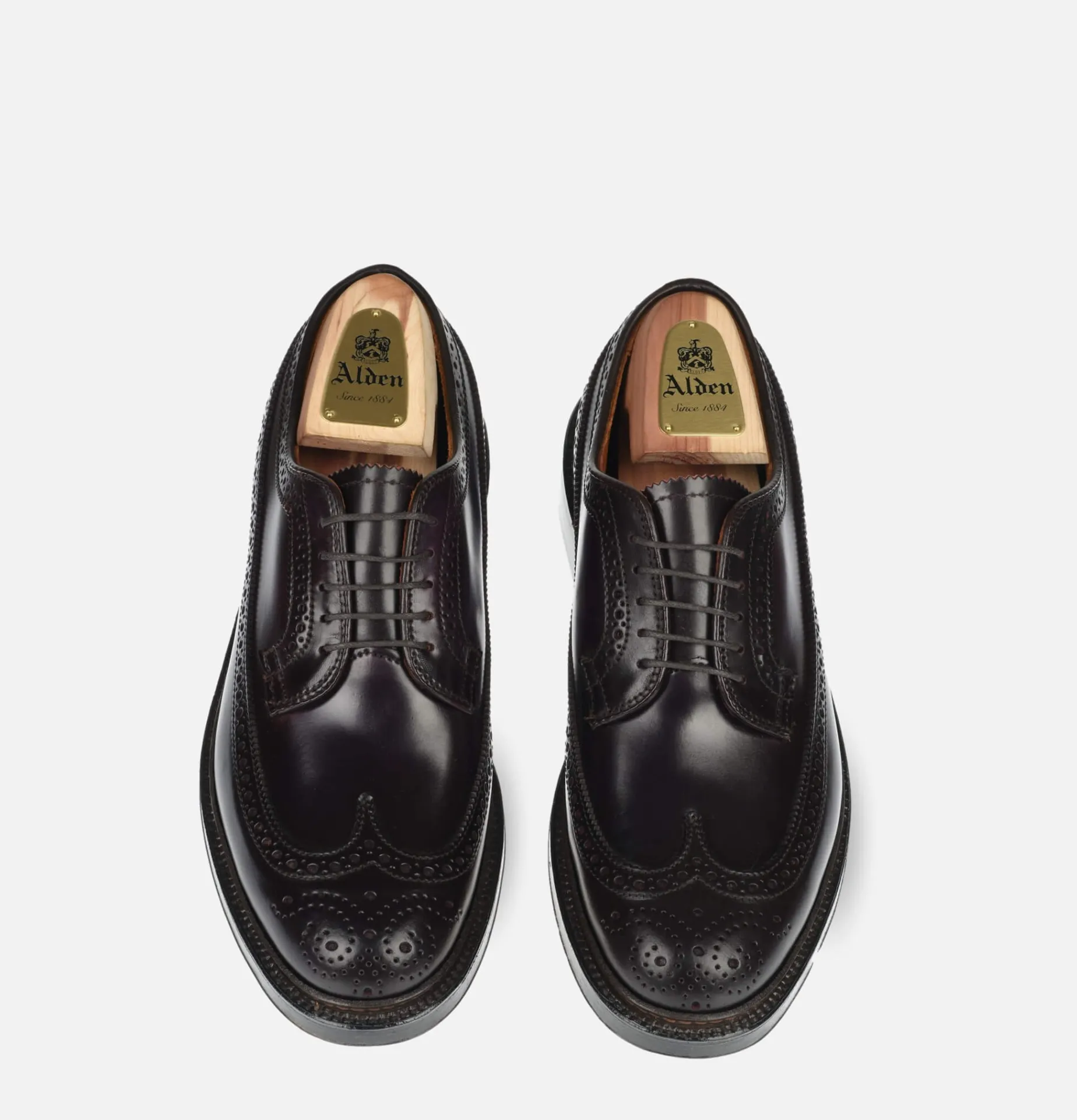 ALDEN SHOE CO 975 - Long Wing Cordovan