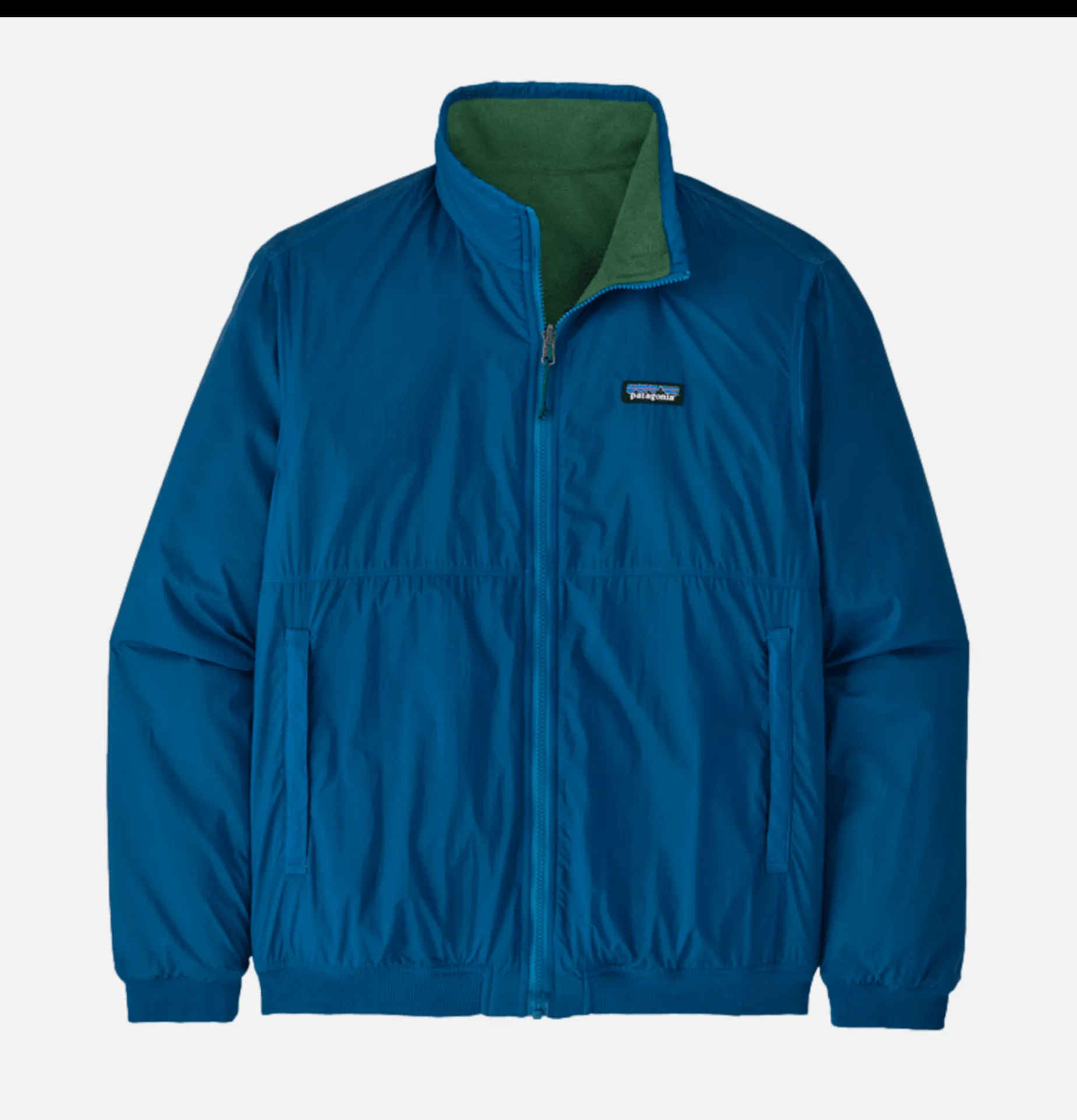 PATAGONIA M's Reversible Microdini Endle