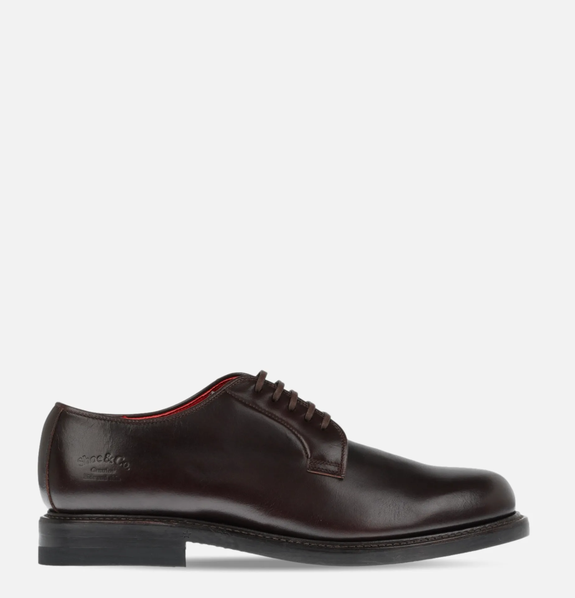 REGAL SHOE & CO Plain-toe Brown Gore-tex